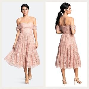 Dress The Population River Lace Off the Shoulder Fit & Flare Dress Size S
